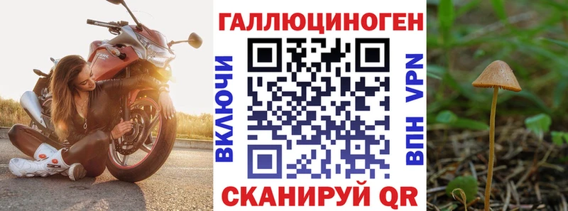 Псилоцибиновые грибы MAGIC MUSHROOMS Новокубанск
