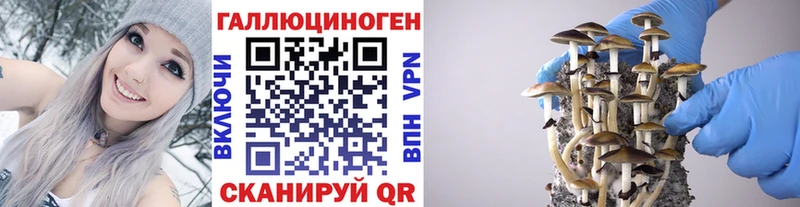 hydra ТОР  Новокубанск  Псилоцибиновые грибы MAGIC MUSHROOMS 